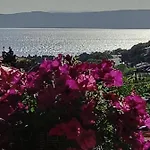 Konukevi Garfild 4*