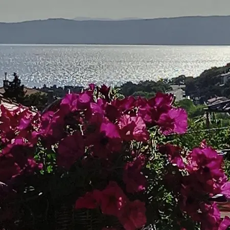 Pensionat Garfild 4*