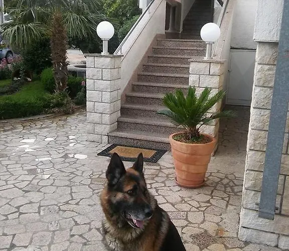 Garfild Novi Vinodolski