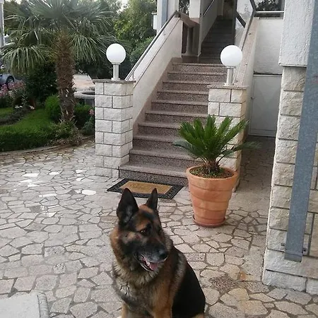 Garfild Novi Vinodolski